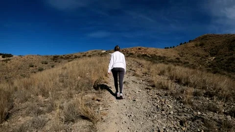 Hikers walking in group at mountain forests and pathways. Stock-Footage 171478141