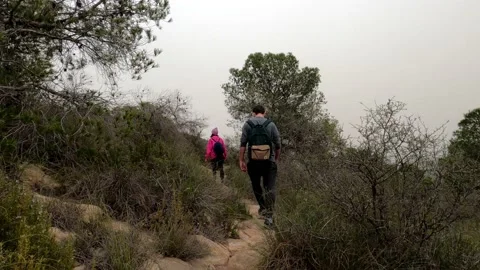 Hikers walking in group at mountain forests and pathways. Stock-Footage 171478370