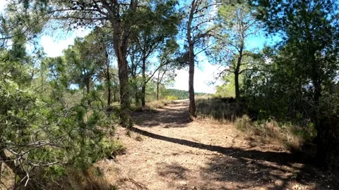 Hikers walking in group at mountain forests and pathways. Video stock 171478479