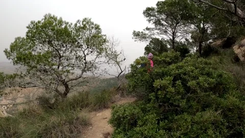 Hikers walking in group at mountain forests and pathways. Stock-Footage 171478540