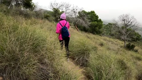 Hikers walking in group at mountain forests and pathways. Stock Footage 171478562
