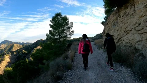Hikers walking in group at mountain forests and pathways. Stock-Footage 171478942