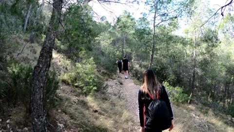Hikers walking in group at mountain forests and pathways. Vídeo Stock 171478969