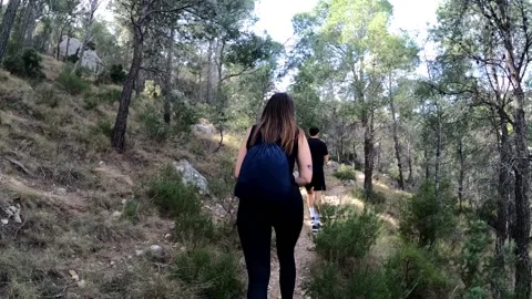 Hikers walking in group at mountain forests and pathways. Stock Footage 171478993