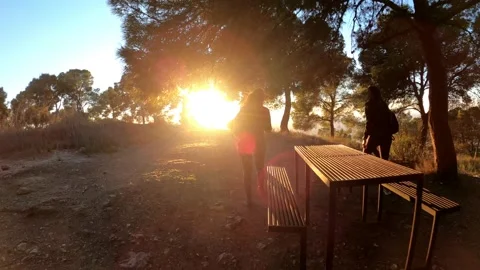 Hikers walking in group at mountain forests and pathways. Stock Footage 171479011