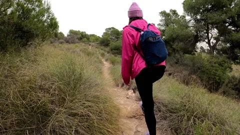 Hikers walking in group at mountain forests and pathways. Vídeo Stock 178954250