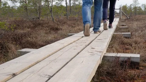Hikers walking on hike path in forest outdoors Stock Footage 74094325