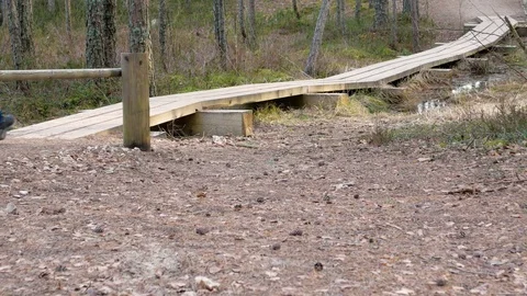 Hikers walking on hike path in forest outdoors Stock Footage 74095925
