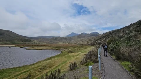 Hikers Walking Lakeside Path Through Paramo, Laguna Limpiopungo, Ecuador 4K Stock Footage 331497447