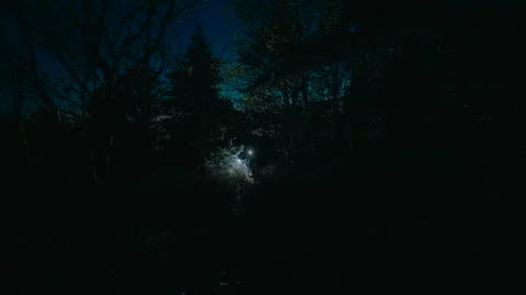Hikers walking on a path through a dark forest at night with a bright headlamp Stock Footage 336289184