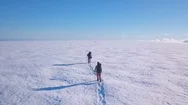 Hikers Walking On Snow (Glacier) With A Rope, Aerial Shot In Iceland Stock Footage