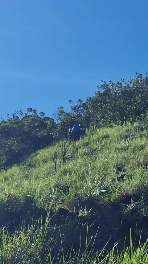 Hikers walking up a steep grassy mountain trail on a sunny day Stock Footage 344968887