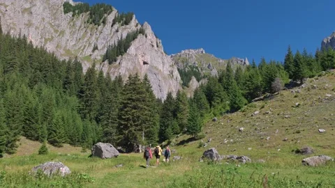 Hikers walking through mountain landscape with pine forest Stock Footage 328122982