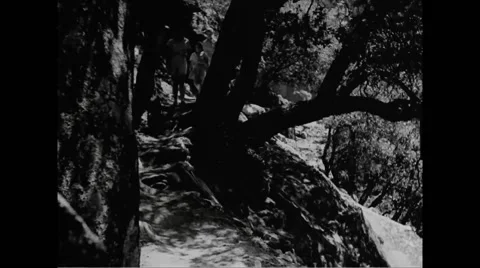 Hikers walking through Sierra Trail of Yosemite National Park Stock Footage 44575710