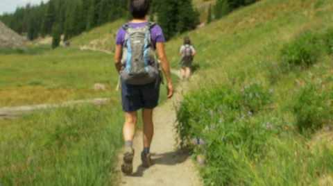 Hikers walking on a trail Stock Footage 58929532