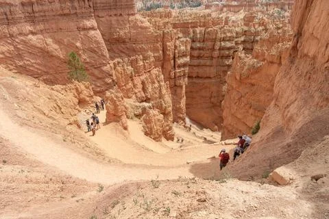 Hikers on a zig-zag Trail in Bryce Canyon National Park 스톡 사진