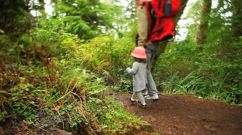 Hikers2 Stock Footage 1035303