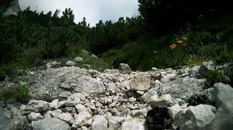 Hiking 02 스톡 동영상 8989827