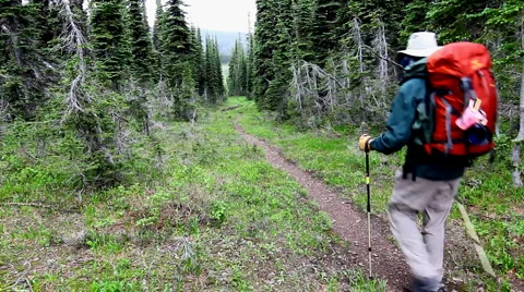 Hiking 1 Stock Footage 1071866
