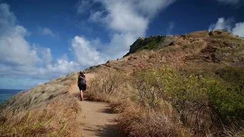 Hiking 134 Stock Footage 155495339
