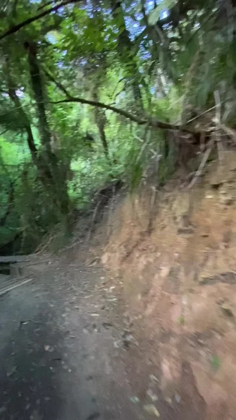 Hiking in Abel Tasman Stock Footage 343952434