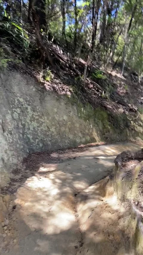 Hiking in Abel Tasman Vidéo 343952471
