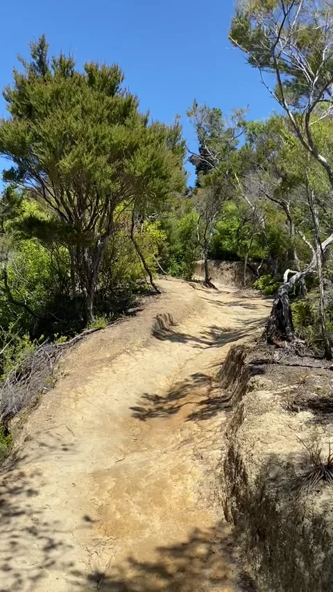Hiking in Abel Tasman Видео 343952490