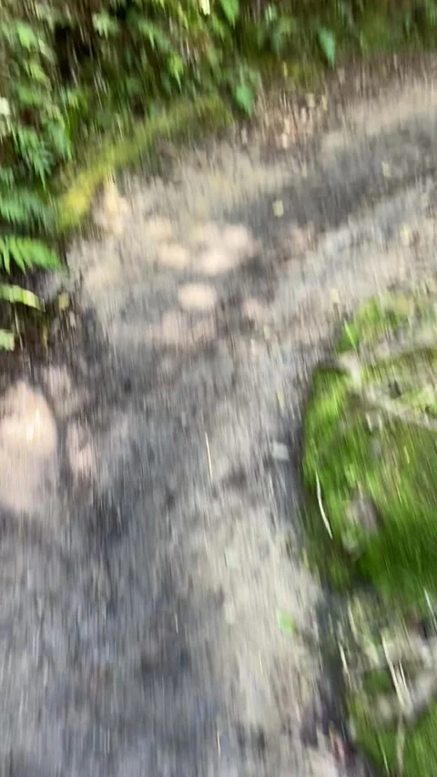 Hiking in Abel Tasman 스톡 동영상 343952518