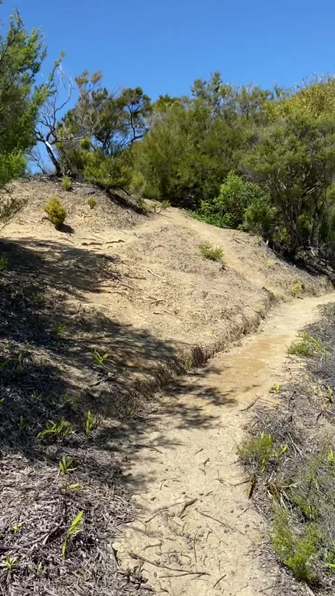 Hiking in Abel Tasman Видео 343952675