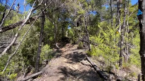 Hiking in Abel Tasman 库存影片 343952743