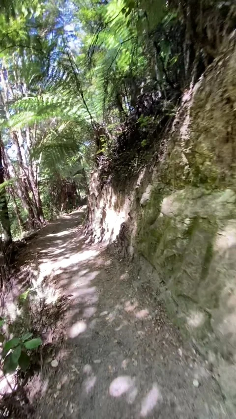 Hiking in Abel Tasman Stockbeeldmateriaal 343952782