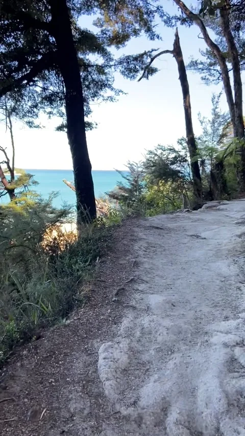Hiking in Abel Tasman Vidéo 343952822