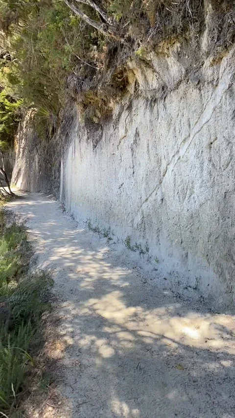 Hiking in Abel Tasman Видео 343952973