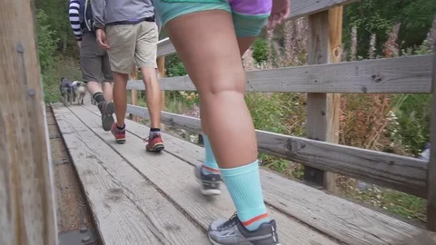 Hiking Across A Bridge Video stock 123483865