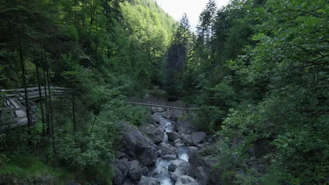 Hiking Across Bridge Over River In Forest Stock Footage 263426028