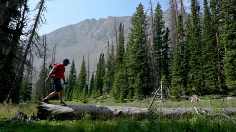 Hiking across a downed tree Vídeos de archivo 158903035