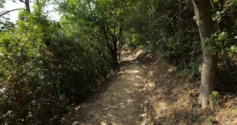 Hiking along flat ground path on hillside in woods, Maclehose Trail at Hong Kong Stock Footage 309437088