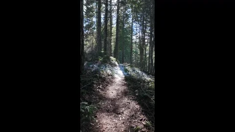 Hiking along a forest trail in Mount Hood National Forest, Oregon, USA at winter 库存影片 330925154