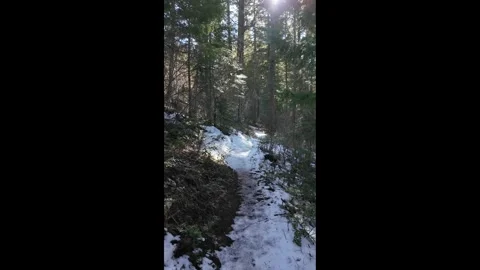 Hiking along a forest trail in Mount Hood National Forest, Oregon, USA at winter 库存影片 330925211