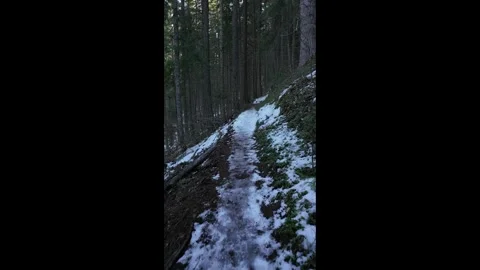 Hiking along a forest trail in Mount Hood National Forest, Oregon, USA at winter 스톡 동영상 330925522