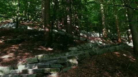 Hiking along the path through a rocky forest. Low angle of view. Tourism. Summer 스톡 동영상 140395443