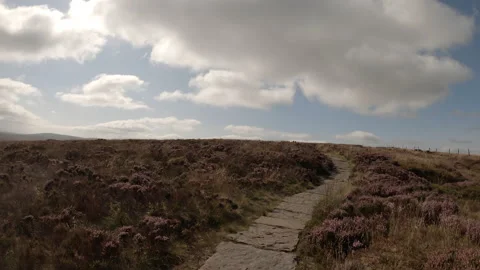 Hiking along stone path with heather towards Shining Tor Stock Footage 161010000