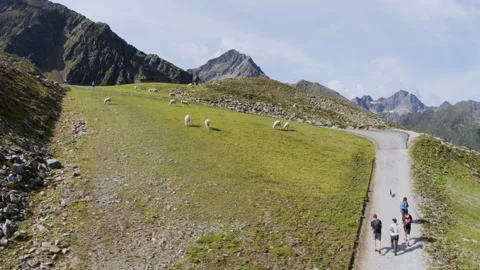 Hiking in the Alps Stock Footage 141102196