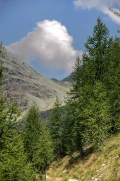 Hiking in Alps Stock Photos