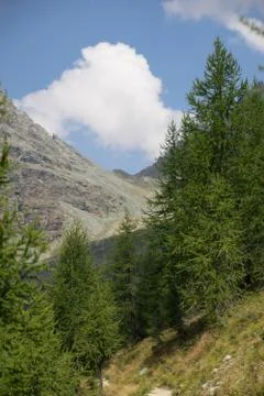 Hiking in Alps Stock Photos