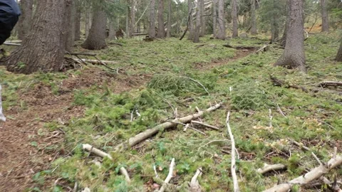 Hiking around a Mountian area Stock Footage 141895918