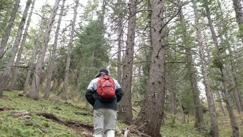 Hiking around a Mountian area Stock Footage 141897122