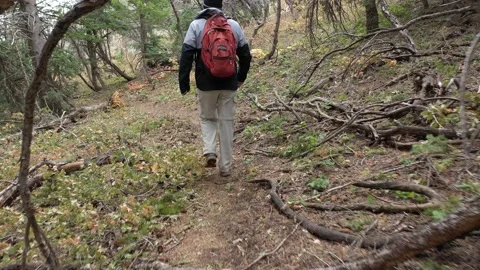 Hiking around a Mountian area Stock Footage 141899143