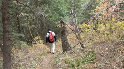 Hiking around a Mountian area Stock Footage 141901431