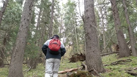 Hiking around a Mountian area Stock Footage 141901780